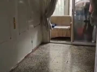 shk-fy-kdsya-tabo-akhdr